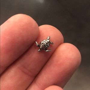 Origami owl sea turtle charm